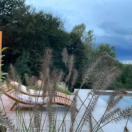 La Canopee Des Arbres, Marie, Met Wellness Faciliteiten * Ellezelles